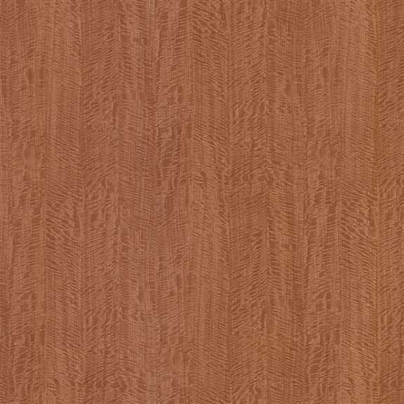 WZ0003T NF39 36X144 Tawny Satinwood